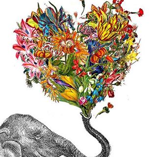 Profile Picture of David Riso (@david.riso.58) on Facebook