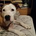 Profile Picture of Steve Critchfield (@steve.critchfield.507) on Facebook