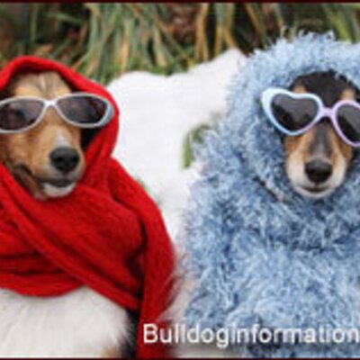 Sheryl Larson - Twitter Profile Picture of Sheryl Larson (@sheryl8_26) on Twitter