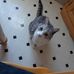Profile Picture of Isabelle Robichaud (@isabelle.robichaud.58) on Facebook