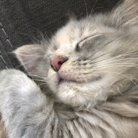 Profile Picture of Larissa Stogdill (@larjones12) on Poshmark