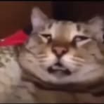 Profile Picture of Patiwat Thongjan (@patiwat.thongjan) on Facebook