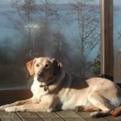Profile Picture of Sandy DeMers (@CorysStory) on Twitter