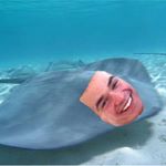 Profile Picture of Scuba Ray (@steve.traylor) on Instagram