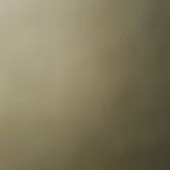 Profile Picture of Chris Brandon (@c2brandon72) on Poshmark