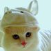 Profile Picture of Jonathan Mckenzie (@jonathan.mckenzie.98) on Facebook