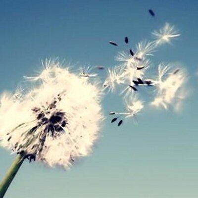 Profile Picture of Deborah Calà (@DeborahCal1) on Twitter