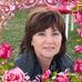 Profile Picture of Dawn Brunnenmeyer (@Dawn-Brunnenmeyer) on Facebook