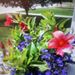 Profile Picture of Lorraine Lee (@lorraineylee) on Pinterest