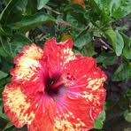 Profile Picture of Mariealice Cibrélus (@mariealice.galbert.7) on Facebook