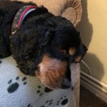 Profile Picture of Barry Wyatt (@wyatt.barry) on Instagram