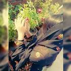 Profile Picture of   princess.khadija(@cutest192... (@cutest1922) on Tiktok