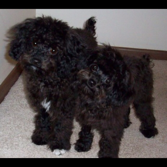 Profile Picture of Amy Raineri (@fitmom123) on Poshmark