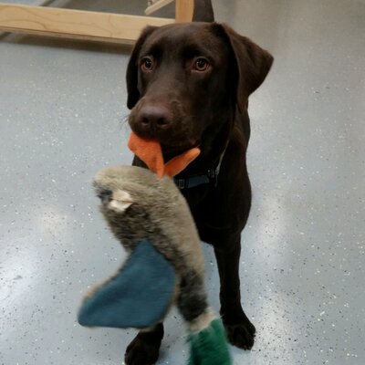 Profile Picture of Allen Spivey (@AllenSpivey) on Twitter