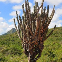 Profile Picture of Michael Martina (@yoeku74) on Twitter