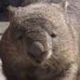 Profile Picture of Richard Tester (@richard.tester.10) on Facebook