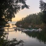 Profile Picture of os 🦋♥ (@olivia.schultee) on Instagram