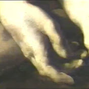 Profile Picture of Gauthierdominique (@gauthierdominique) on Youtube