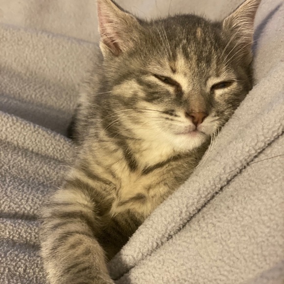 Profile Picture of Eunbit Lee (@eunbitlee) on Poshmark