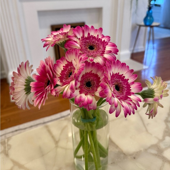 Profile Picture of Danielle Lion (@daniellelion) on Poshmark