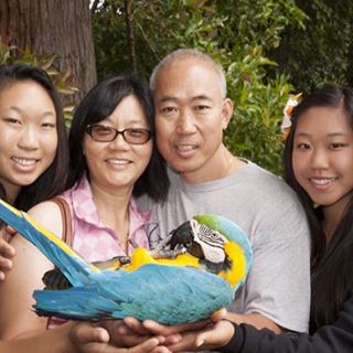 Profile Picture of Tony Szeto (@tony.szeto.7) on Facebook