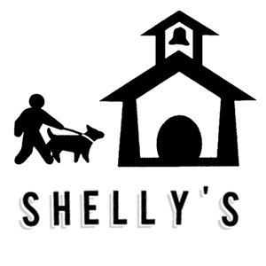 Profile Picture of Shelly Leibowitz (@ShellysSchool) on Twitter