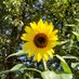 Profile Picture of Vanetta Wilson (@Vanetta19733321) on Twitter