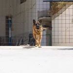 Profile Picture of David Kobelt (@imfluenzer) on Instagram