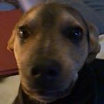 Profile Picture of Kyla Michelitch (@kylamichelitch) on Instagram