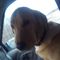 Profile Picture of Jeff Posterick (@jeffposterick.posterick) on Facebook