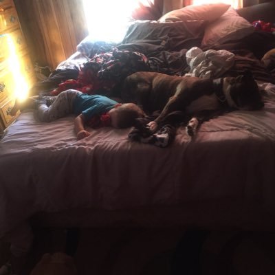 Profile Picture of Joey Burks (@JoeyBurks10) on Twitter