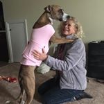 Profile Picture of Chris Brocious (@chris.brocious) on Instagram