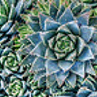 Profile Picture of LEONARD T MARSH (@LEONARDTMARSH) on Twitter
