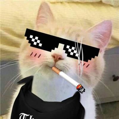 Profile Picture of JayLiu (@JayLiu1996) on Twitter