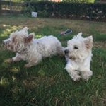 Profile Picture of Anke Struckmeyer (@anke_jegelskerdanmark) on Instagram