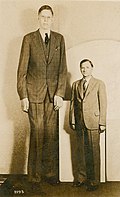 Profile Picture of List of tallest people - Wikipediaon Wikipedia