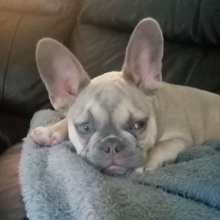 Profile Picture of stephenbarlow479 (@stephenbarlow479) on Tiktok