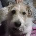 Profile Picture of Lily Hays (@bch02261972) on Pinterest