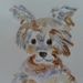 Profile Picture of Betty Clement (@orchidsand) on Pinterest