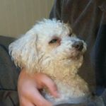 Profile Picture of Graham Mullen (@buttery_b0i) on Instagram