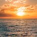 Profile Picture of Eloisa Jimenez (@ejimenez3291) on Pinterest