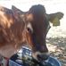 Profile Picture of Daniel Bankston (@daniel.bankston.37669) on Facebook
