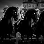 Profile Picture of ♡♡ (@crystal.summerpark) on Instagram