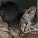 Profile Picture of Alexande Englis (@alexande.englis) on Facebook