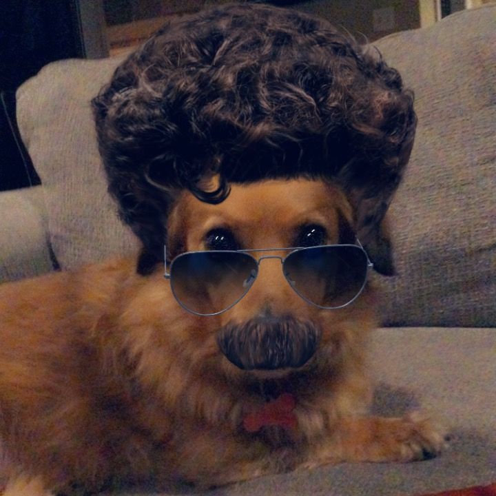 Profile Picture of Ian Kowal460 (@peteypocalypse) on Tiktok