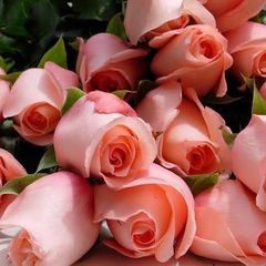 Profile Picture of Emmaline Carter (@emmaline.carter) on Tiktok