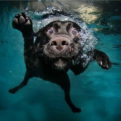 Profile Picture of Mike Stetson (@Mike_Stets) on Twitter