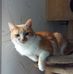 Profile Picture of Michael Adamski (@michael.adamski.737) on Facebook