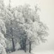 Profile Picture of Christian Arbeeny (@christianarbeeny3567) on Youtube