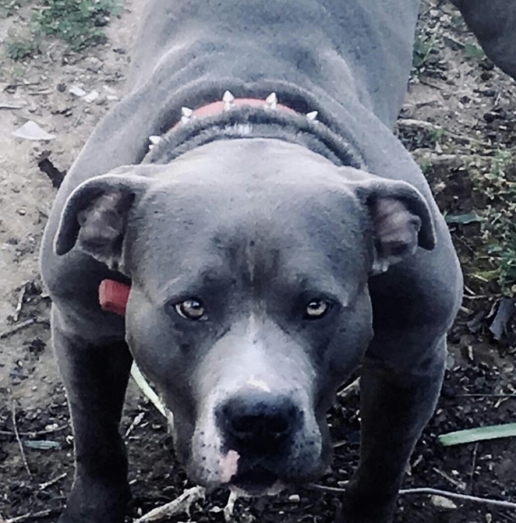 Profile Picture of Timothy Jarrell (@timothyjarrell) on Poshmark